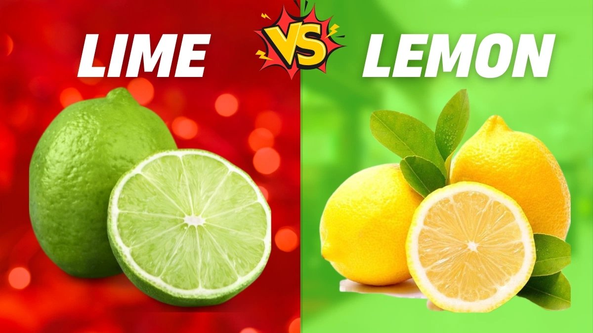 Difference Between Lime and Lemon You Should Know