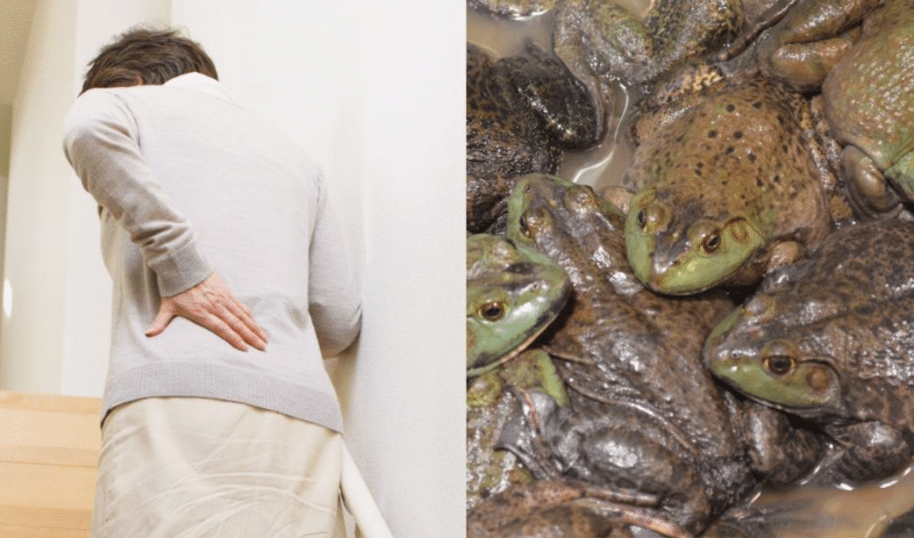 Chinese Woman Eats frog for her back pain