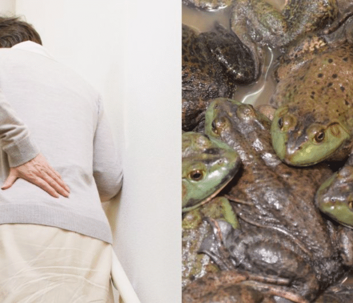 Chinese Woman Eats frog for her back pain