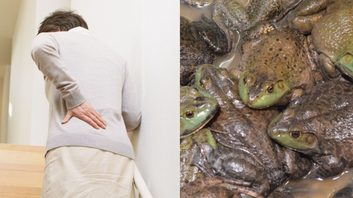 Chinese Woman Eats frog for her back pain