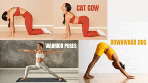 Yoga Exercises - Cat Cow, downward dog, Warrior poses