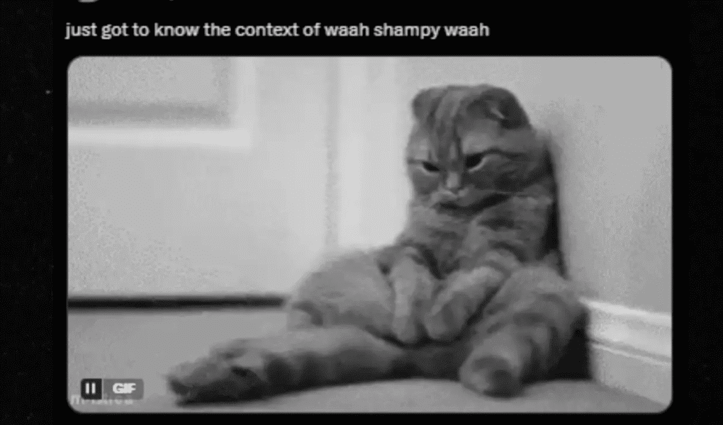 The ‘Waah Shampy Waah’ meme is trending online, dividing netizens over its humor and moral message. Read how Instagram users are reacting and why the meme is viral news.