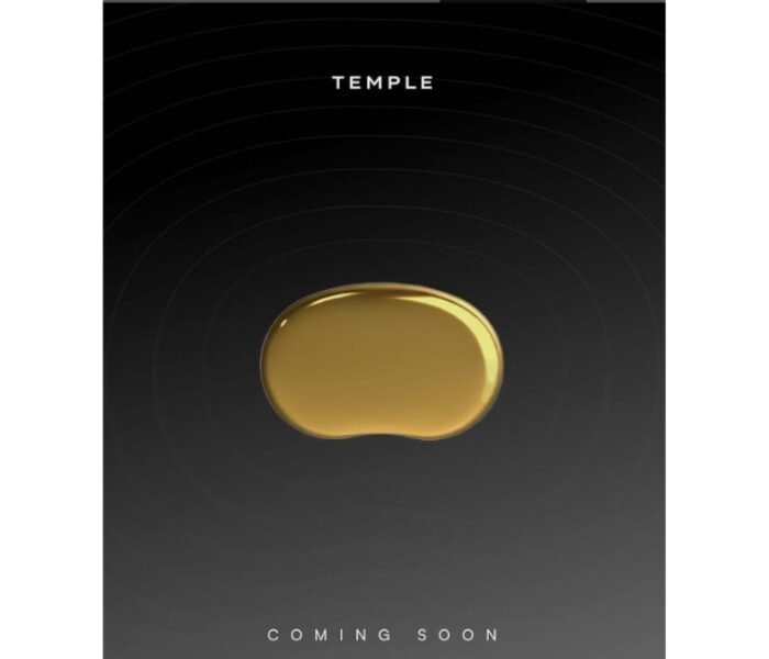 Zomato CEO Deepinder Goyal wearing Temple Device wearable on his temple, tracking brain blood flow in experimental health-tech test